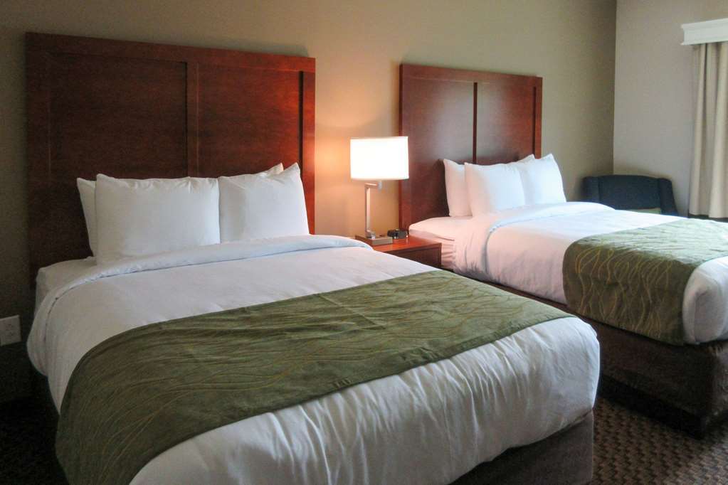 Comfort Inn&Suites Florence Rom bilde